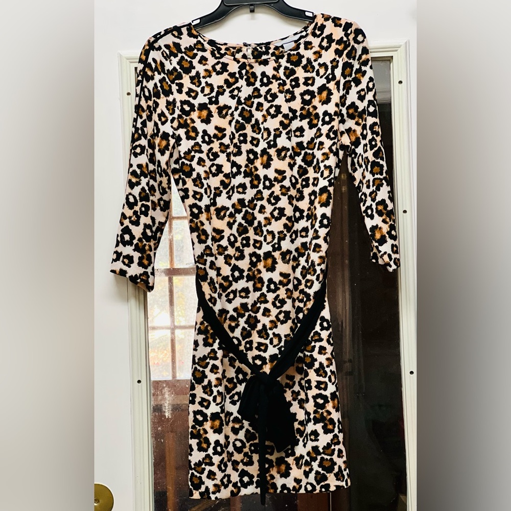 H&M Animal Print Dress